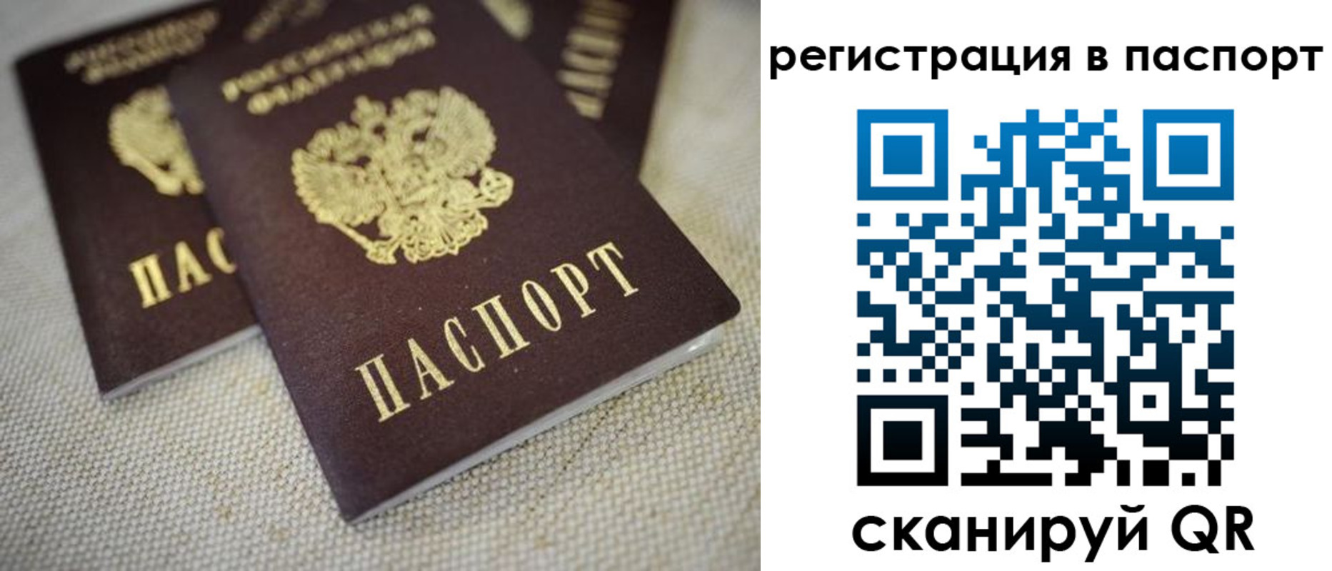 прописка гарантия в Брянской области